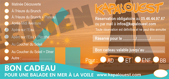 visuel-specimen-BKDO