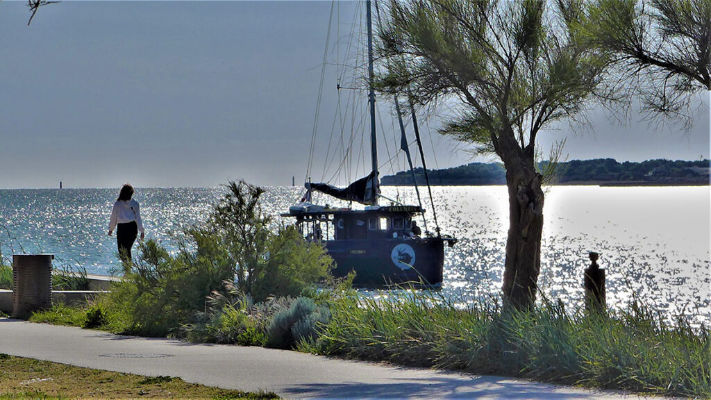 Accueillez le printemps en mer !